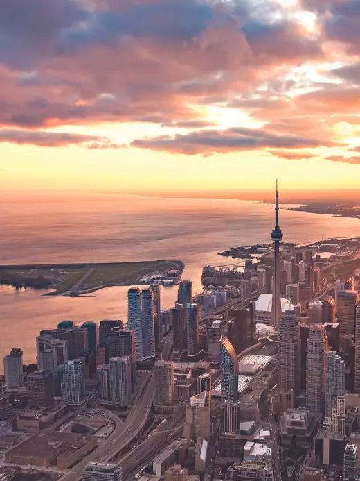 Person reading and learning in a calm environment
